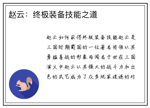 赵云：终极装备技能之道