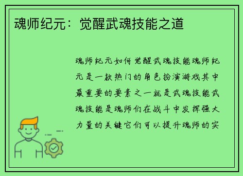 魂师纪元：觉醒武魂技能之道
